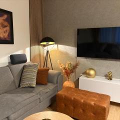 Apartment Gold Wing Sinj