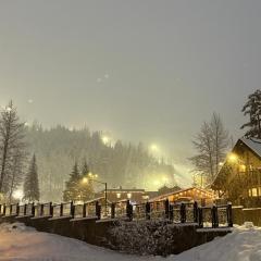 Alyeska Mountain Side Retreat!
