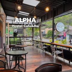 ALPHA Hostel Cafe&Bar