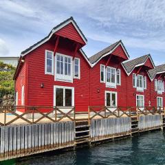 Beautiful Home In Lepsøy With Wifi