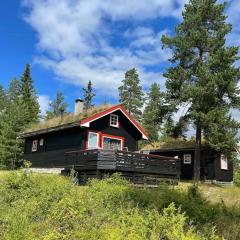 Enjoy Traditional, Norwegian Cabin Coziness