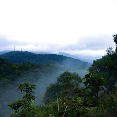 Rain Country Jungle Resort