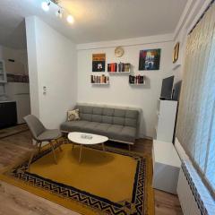 Apartman Serdjo