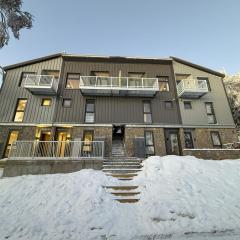 Elegant 3 Bedroom Ski Chalet 450m Ski Lift and slopes