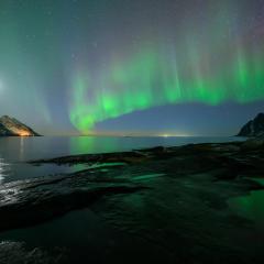 Northern Light Hotell/Camp Steinfjord