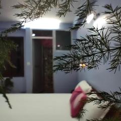 Shova's Home Stay