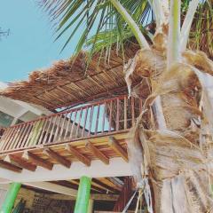 eco hotel lili