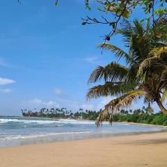 Moonlight beach