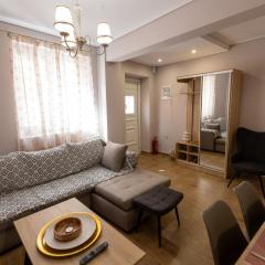 Brand new detached house in central Mytilene