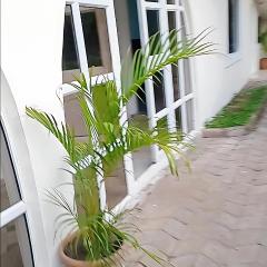 The Bougainville Apartments