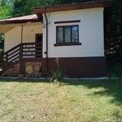 Casa Padurarului