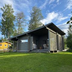 Harmaalokki