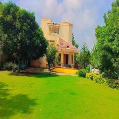 Sri Sai Palace Muttukadu