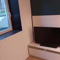 Apartment in Basement 1 room self-contain