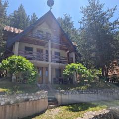 Vila Borovi