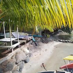 Les poissons du lagon YH