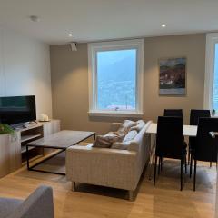 Modern apartment with free parking