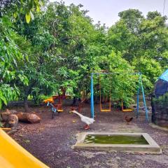 Aarushmay Resort