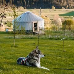 Mononoke -Jurty nad Sanem