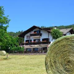 Hotel Garni Edy