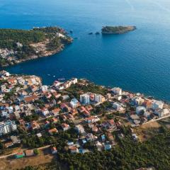 Apartments and Studios Anicic