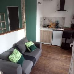 Studio thème Dublin à Valdivienne