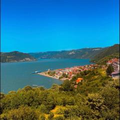 B&B Jonovic