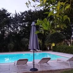 Lemontree Apartments