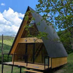 Forest house