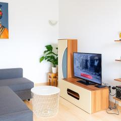 Appartement climatisé et cozy-C1