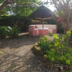 Habibi B&B