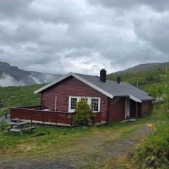Fjellheimens Svanebu