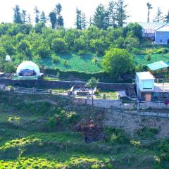 The Astro Orchard