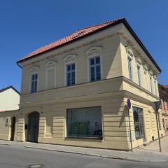 Apartmány U Devíti Lvů