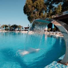 Dreamland Oasis