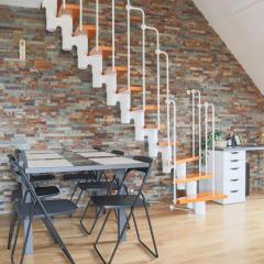 LE DUPLEX BORDERLINE , balade au bord du Rhin