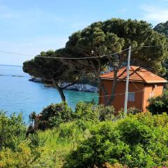 Villa Mimosa