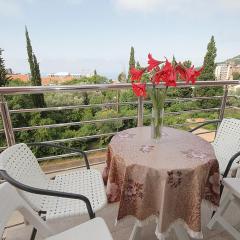 Apartments Residence Dj