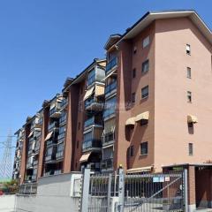 Lucky House - Reggia & Stadium