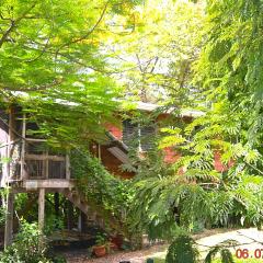 Family Treehouse Retreat Cozy Cabin in Tropical Gardens, Minutes from Ruins