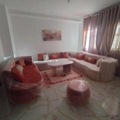 Appartement 4 pièces, bien équipé et richement meublé