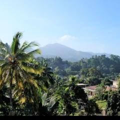 Hotel Jayanti Estate