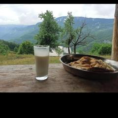 Camp Apartmani Tara