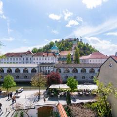 Trubarjeva 12 - The view