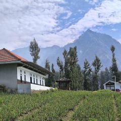 Elen Homestay by ABM