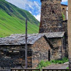 Nizharadze's Tower