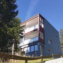 Gollrad 2