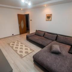 Central Apartament Fălticeni
