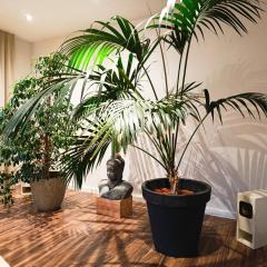 Oase der Ruhe- Übernachten in der Gesundheitspraxis im Herzen von Basel