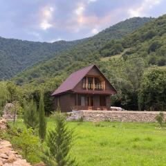 Pankisi Wooden Cottage